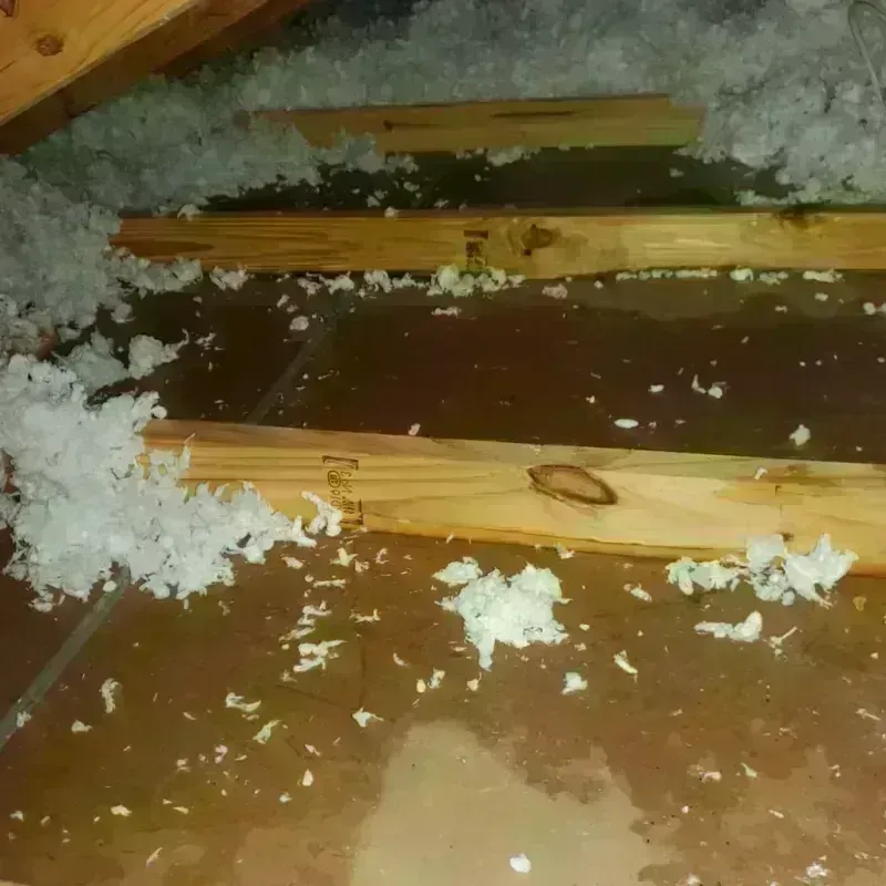 Attic Water Damage in Randolph, UT