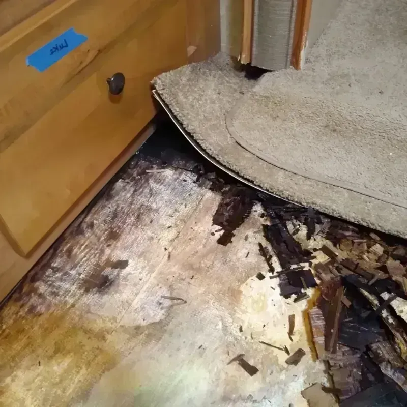 Wood Floor Water Damage in Randolph, UT